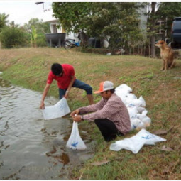 โครงการฟาร์มทดสอบสาธิตมีนเกษตร “สองน้ำ” บ้านท่าไข่ จ.ฉะเชิงเทรา (1 กุมภาพันธ์ 2556) 