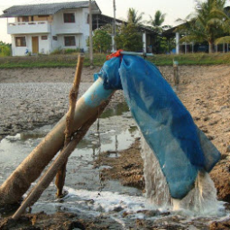 โครงการฟาร์มทดสอบสาธิตมีนเกษตร “สองน้ำ” บ้านท่าไข่ จ.ฉะเชิงเทรา(9 มีนาคม 2553) 