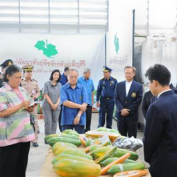 HRH Princess Maha Chakri Sirindhorn Inspects the Progress of the Chakraband Pensiri Plant Development Center, Saraburi Province