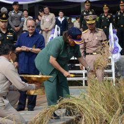 HRH Princess Maha Chakri Sirindhorn Harvests Rice at the Chulachomklao Royal Military Academy