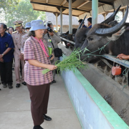 HRH Princess Maha Chakri Sirindhorn Inspects the Progress of Kasornkasiwit School in Sa Kaeo Province