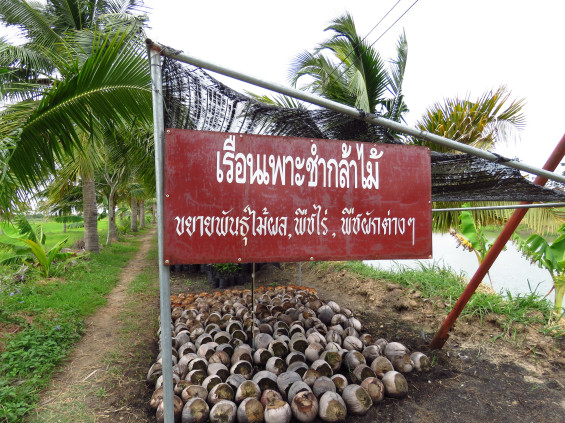 โครงการพระราชดำริในเขตพื้นที่ภาคตะวันออกเฉียงเหนือตอนล่าง โครงการสาธิตการปลูกพืชในพื้นที่ดิน