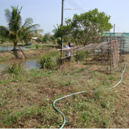 โครงการฟาร์มทดสอบสาธิตมีนเกษตร “สองน้ำ” บ้านท่าไข่ จ.ฉะเชิงเทรา(18 ธันวาคม 2552)