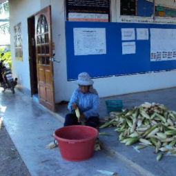 โครงการศูนย์สาธิตพืชไร่และพืชสวนอันเนื่องมาจาก พระราชดำริ ต.ท่าแร้ง อ.บ้านแหลม จ.เพชรบุรี (26 กุมภาพันธ์ 2553) 