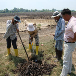 โครงการฟาร์มทดสอบสาธิตมีนเกษตร “สองน้ำ” บ้านท่าไข่ จ.ฉะเชิงเทรา(11 มีนาคม 2553) 