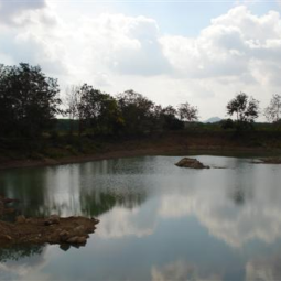 <strong>อ่านเพิ่มเติมเกี่ยวกับ</strong><br />ติดตามการดำเนินงานโครงการพัฒนาแหล่งน้ำวัดเขาลาน อ.วังสมบูรณ์ จ.สระแก้ว ติดตามการดำเนินงานโครงการพัฒนาแหล่งน้ำวัดเขาลาน อ.วังสมบูรณ์ จ.สระแก้ว