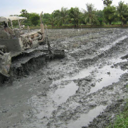 โครงการศูนย์สาธิตพืชไร่และพืชสวนอันเนื่องมาจากพระราชดำริ ต.ท่าแร้ง อ.บ้านแหลม จ.เพชรบุรี (2  กันยายน  2552)