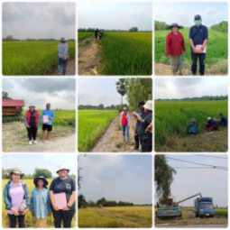 <strong>อ่านเพิ่มเติมเกี่ยวกับ</strong><br />โครงการแปลงสาธิตการทำนาในที่ดินของมูลนิธิชัยพัฒนา อ.ลาดบัวหลวง จ.พระนครศรีอยุธยา (17 มีนาคม 2566) โครงการแปลงสาธิตการทำนาในที่ดินของมูลนิธิชัยพัฒนา อ.ลาดบัวหลวง จ.พระนครศรีอยุธยา (17 มีนาคม 2566)