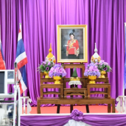 <strong>อ่านเพิ่มเติมเกี่ยวกับ</strong><br />สมเด็จพระกนิษฐาธิราชเจ้า กรมสมเด็จพระเทพรัตนราชสุดาฯ สยามบรมราชกุมารี พระราชทาน “เครื่องช่วยหายใจ” แก่โรงพยาบาลสตูล และพระราชทาน “ระบบแลกเปลี่ยนอากาศแรงดันลบแบบสมบูรณ์” แก่โรงพยาบาลท่าแพ จังหวัดสตูล สมเด็จพระกนิษฐาธิราชเจ้า กรมสมเด็จพระเทพรัตนราชสุดาฯ สยามบรมราชกุมารี พระราชทาน “เครื่องช่วยหายใจ” แก่โรงพยาบาลสตูล และพระราชทาน “ระบบแลกเปลี่ยนอากาศแรงดันลบแบบสมบูรณ์” แก่โรงพยาบาลท่าแพ จังหวัดสตูล