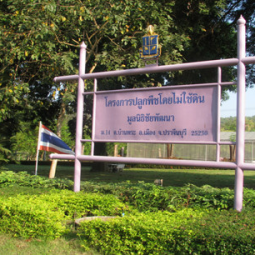 <strong>อ่านเพิ่มเติมเกี่ยวกับ</strong><br />ถ่ายทำสารคดีรายการ "ใต้ร่มพระบารมี" บันทึกเทปโครงการปลูกพืชโดยไม่ใช้ดิน (ไฮโดรโฟนิกส์) ของมูลนิธิชัยพัฒนา ถ่ายทำสารคดีรายการ "ใต้ร่มพระบารมี" บันทึกเทปโครงการปลูกพืชโดยไม่ใช้ดิน (ไฮโดรโฟนิกส์) ของมูลนิธิชัยพัฒนา