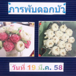 <strong>อ่านเพิ่มเติมเกี่ยวกับ</strong><br />วันพฤหัสบดีที่ 19 มีนาคม 2558  ที่ผ่านมา อุทยานการอาชีพชัยพัฒนา จังหวัดนครปฐม ได้จัดให้มีกิจกรรมฝึกอบรมหลักสูตรระยะสั้น เรื่อง “การพับดอกบัว(สด)แบบต่างๆ”  วันพฤหัสบดีที่ 19 มีนาคม 2558  ที่ผ่านมา อุทยานการอาชีพชัยพัฒนา จังหวัดนครปฐม ได้จัดให้มีกิจกรรมฝึกอบรมหลักสูตรระยะสั้น เรื่อง “การพับดอกบัว(สด)แบบต่างๆ”
