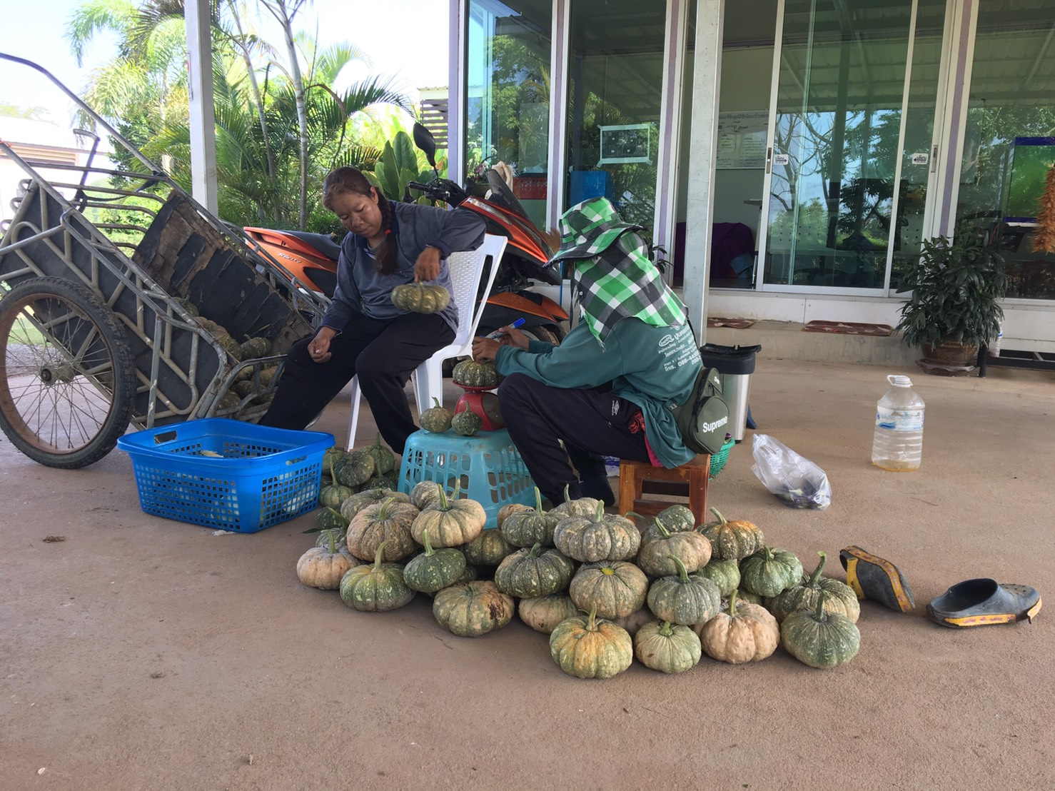 โครงการพระราชดำริในเขตพื้นที่ภาคเหนือตอนบน - โครงการพัฒนา ...