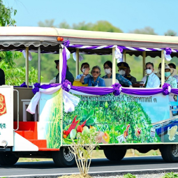 <strong>Read more about</strong><br />Her Royal Highness Princess Maha Chakri Sirindhorn Observes the Progress of " Thaharn Phandee Project (The Good Farmer Soldiers)" at Chiraprawat Military Camp, Nakhon Sawan Province Her Royal Highness Princess Maha Chakri Sirindhorn Observes the Progress of " Thaharn Phandee Project (The Good Farmer Soldiers)" at Chiraprawat Military Camp, Nakhon Sawan Province