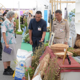 <strong>Read more about</strong><br />Her Royal Highness Princess Maha Chakri Sirindhorn Presides Over the Opening Ceremony of the National Rice and Farmers Day 2025 Her Royal Highness Princess Maha Chakri Sirindhorn Presides Over the Opening Ceremony of the National Rice and Farmers Day 2025