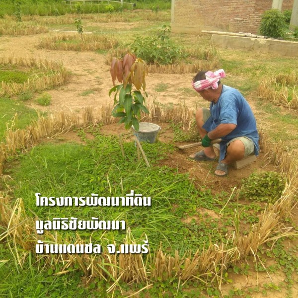 โครงการพัฒนาที่ดินมูลนิธิชัยพัฒนาบ้านแดนชล จ.แพร่