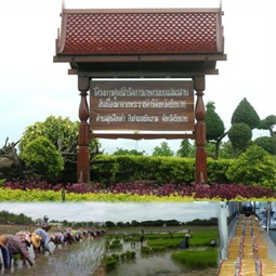 โครงการศูนย์สาธิตการเกษตรแบบผสมผสานอันเนื่องมาจากพระราชดำริ ต.สุขเดือนห้า อ.เนินขาม จ.ชัยนาท