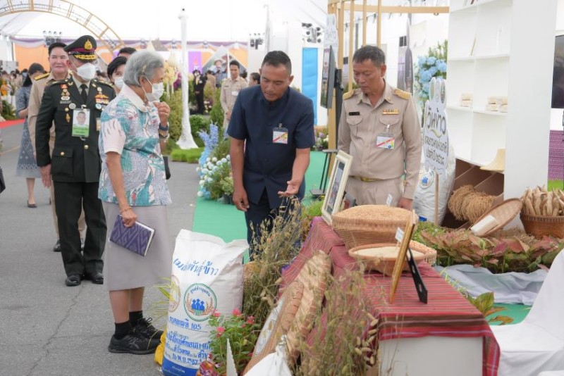 505510254 1154087446761713 6929131152790729905 n