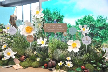 546375482 1233745732129217 2138706630297161597 n