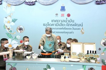 547288385 1233723905464733 8183050134593724090 n