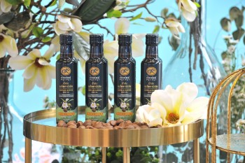 547450449 1233746175462506 2369084865543025609 n