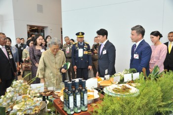 547680028 1233738198796637 4300216024793205830 n