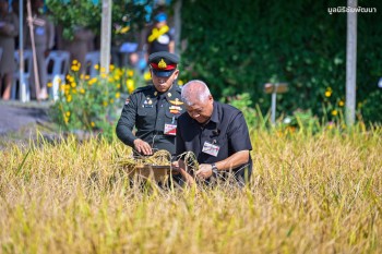 580942866 1337116697871716 1220877528208126048 n