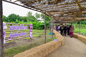 548716292 1240859491417841 6263218558308591554 n