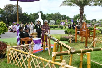 552432656 1240860498084407 991105309182741670 n