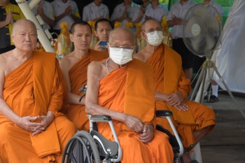 517143252 1178342157669575 644903477023287213 n